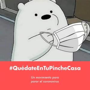 Meet your Posher, Hazel